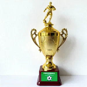 trofeos-como-encargar-trofeos-colombia-futbol