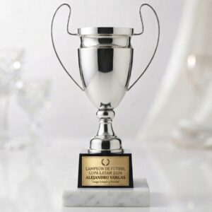 trofeo copa metálica champions plateada con base en plástico negro