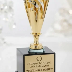 trofeo copa metálica laurel bicolor dorado y plata con base en vidrio negro en colombia